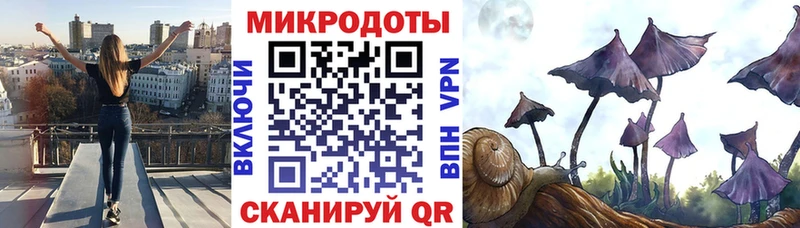 Галлюциногенные грибы MAGIC MUSHROOMS  закладки  MEGA зеркало  Белгород 